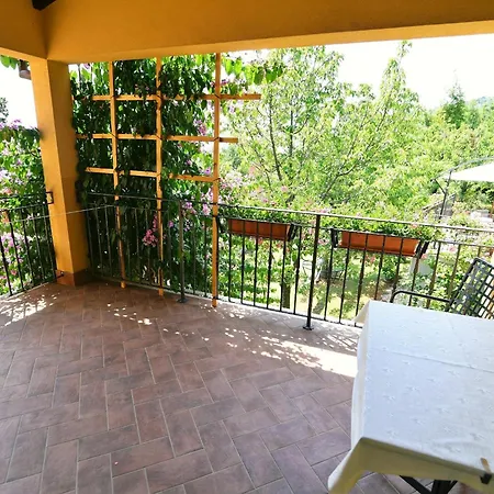Casa de hóspedes Home, And Milica 3*